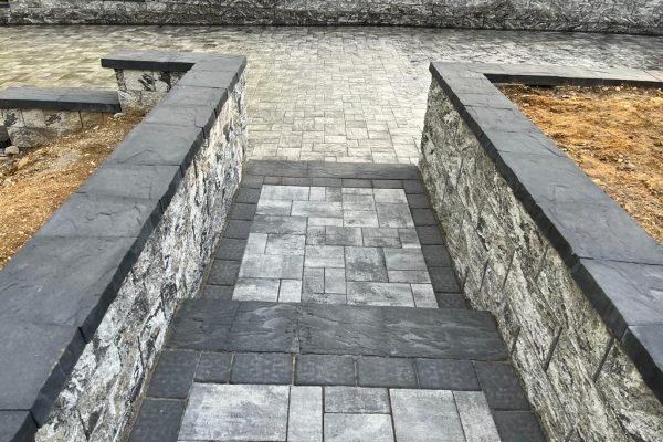 49d4a74a-32a6-4a59-bbe5-981c866aa03a